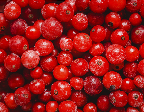 cramberry